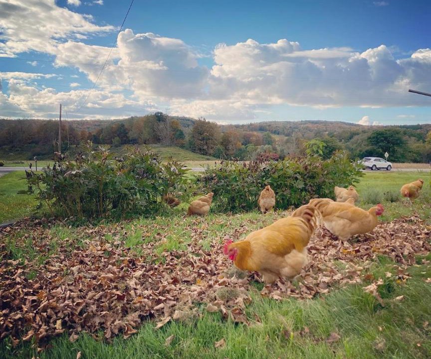 Photo of Others in Mount Vision