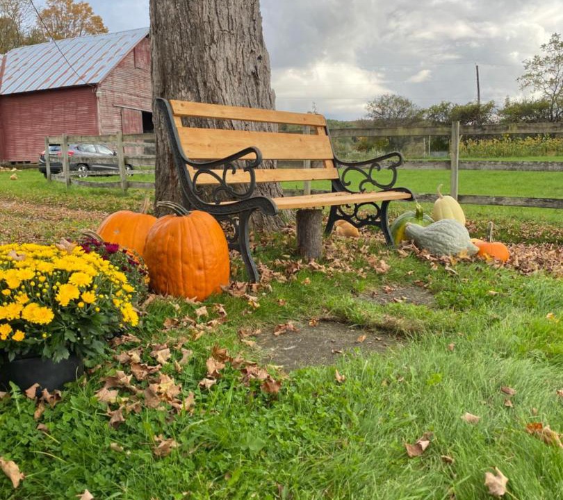 Photo of Others in Mount Vision