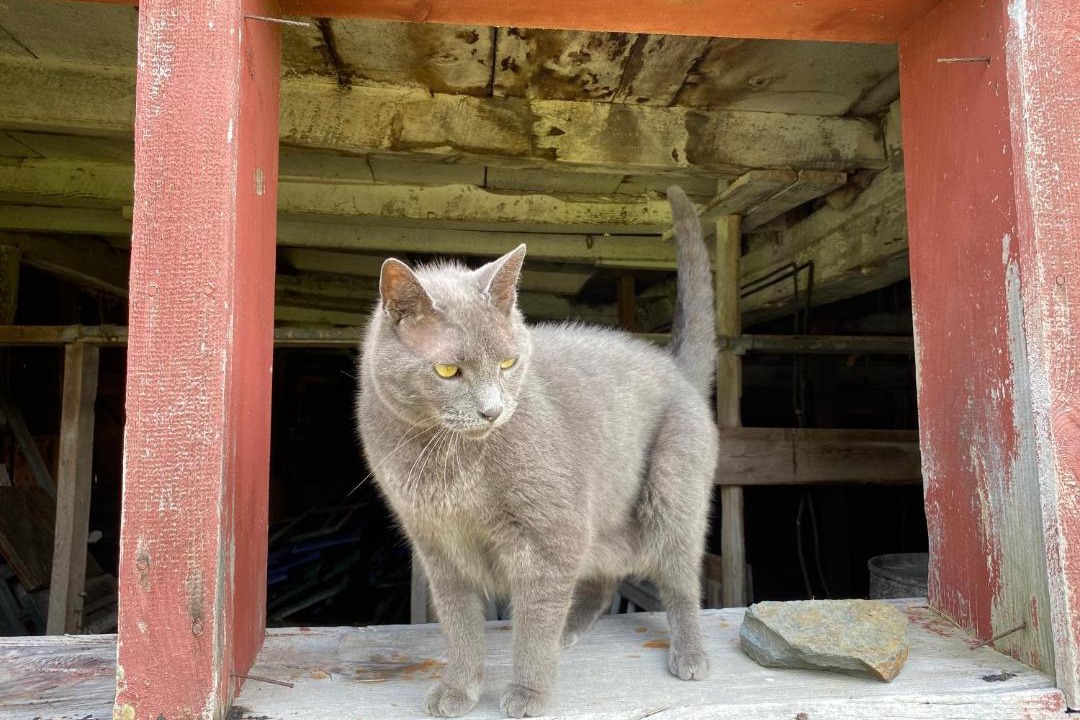 Photo of Others in Mount Vision