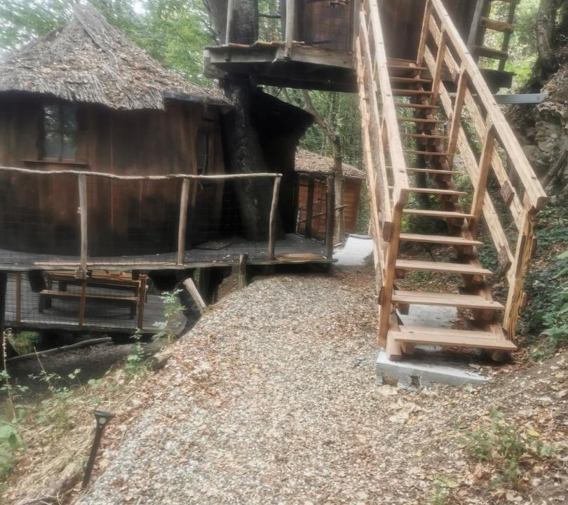 Photo of Others in Pons