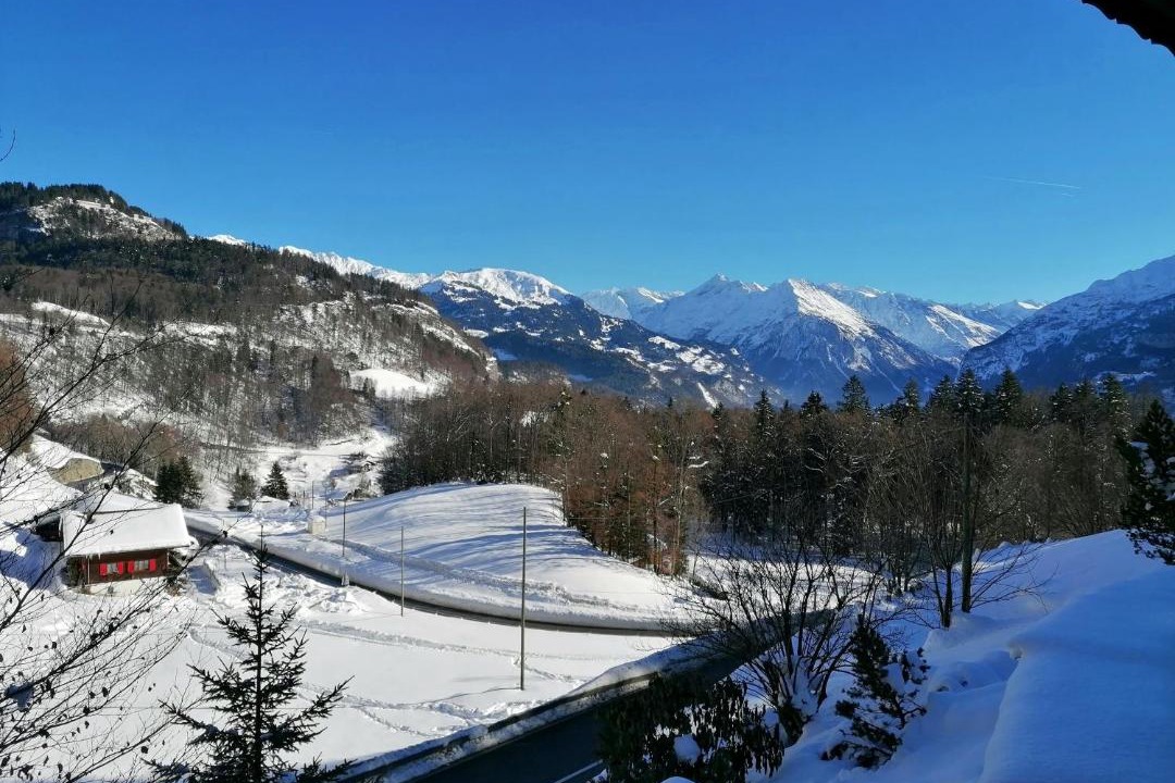 Photo of Others in Meiringen
