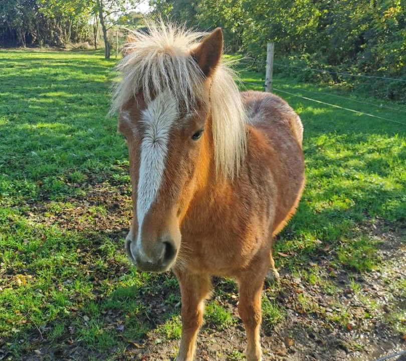 Photo of Others in Mee