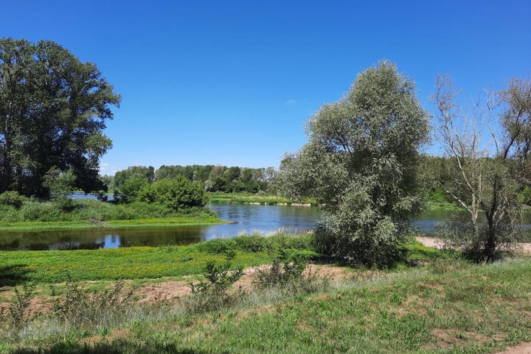 Photo of Others in Saint-Benoit-sur-Loire