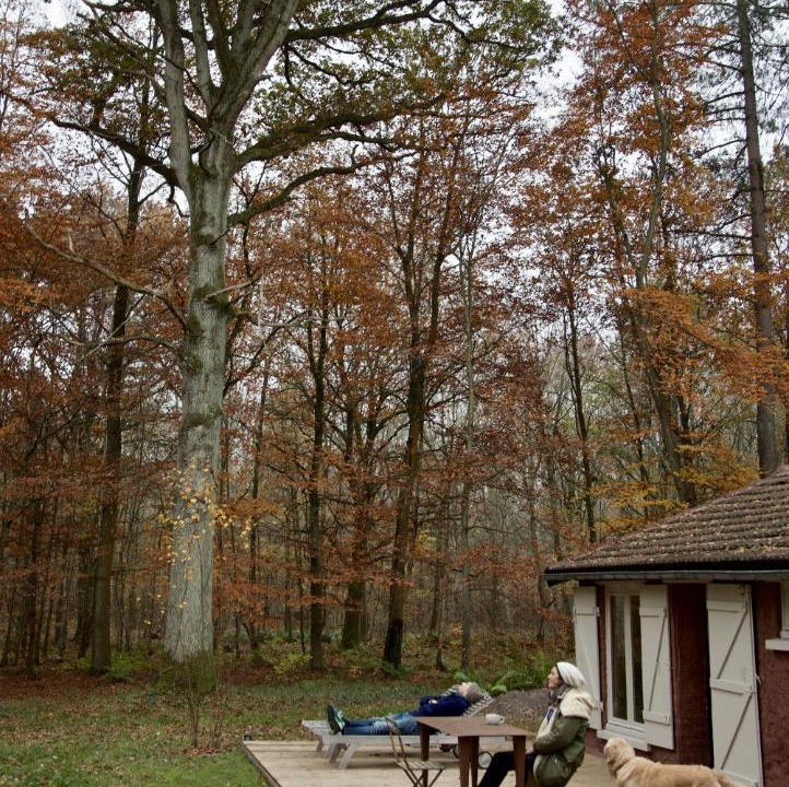 Photo of Others in Poigny la Foret