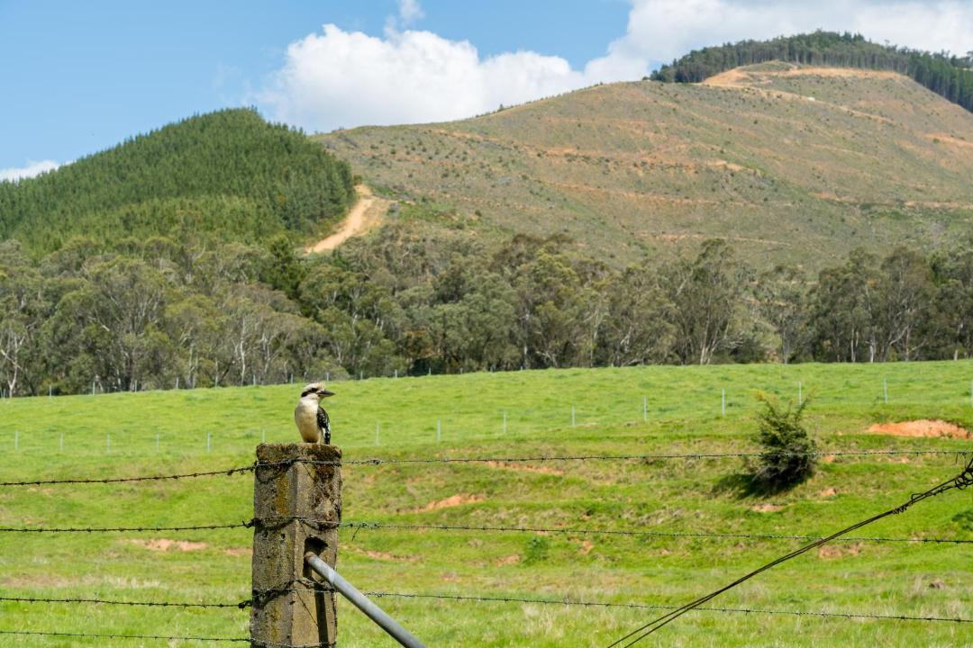 Photo of Others in Bright