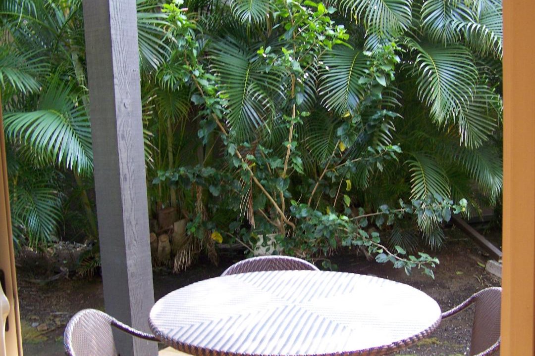 Photo of Patio Balcony in Punaluu