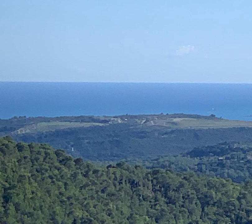 Photo of Others in Tourrettes-sur-Loup