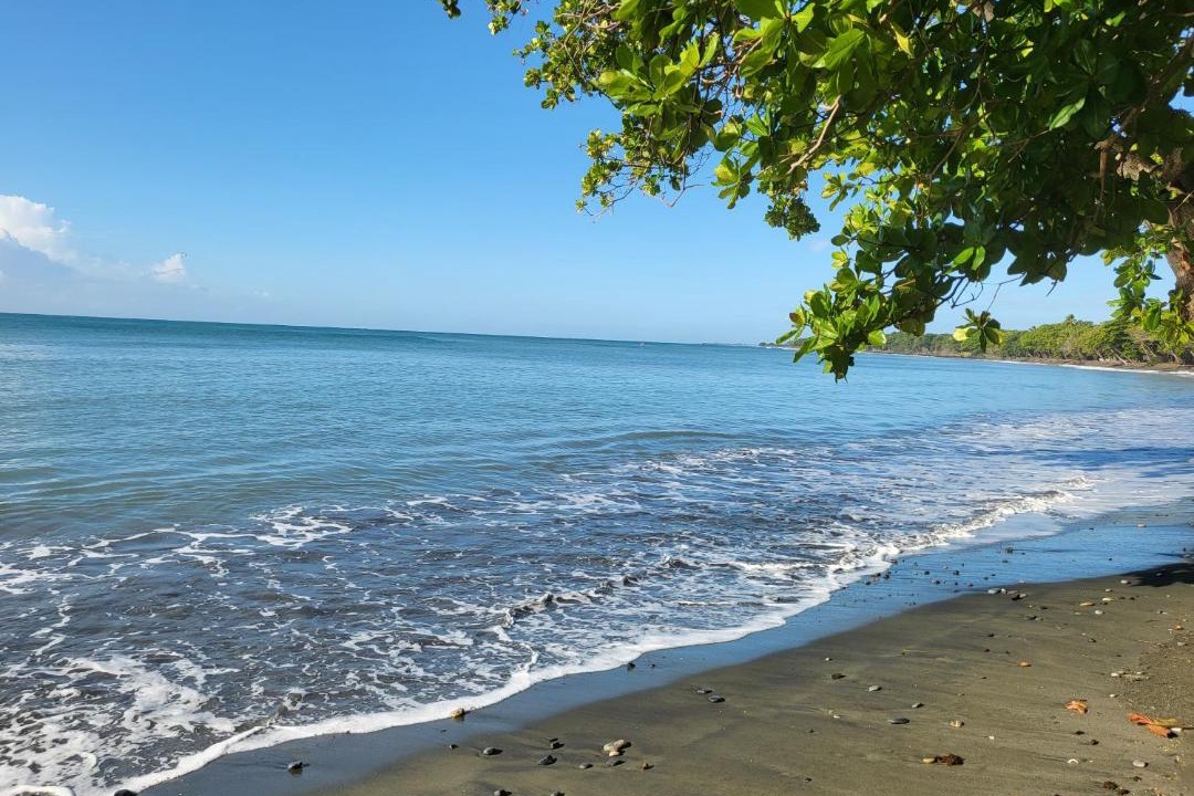 Photo of Others in Sabana Palenque