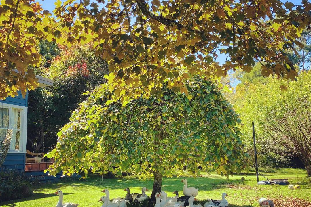 Photo of Others in Tanybryn