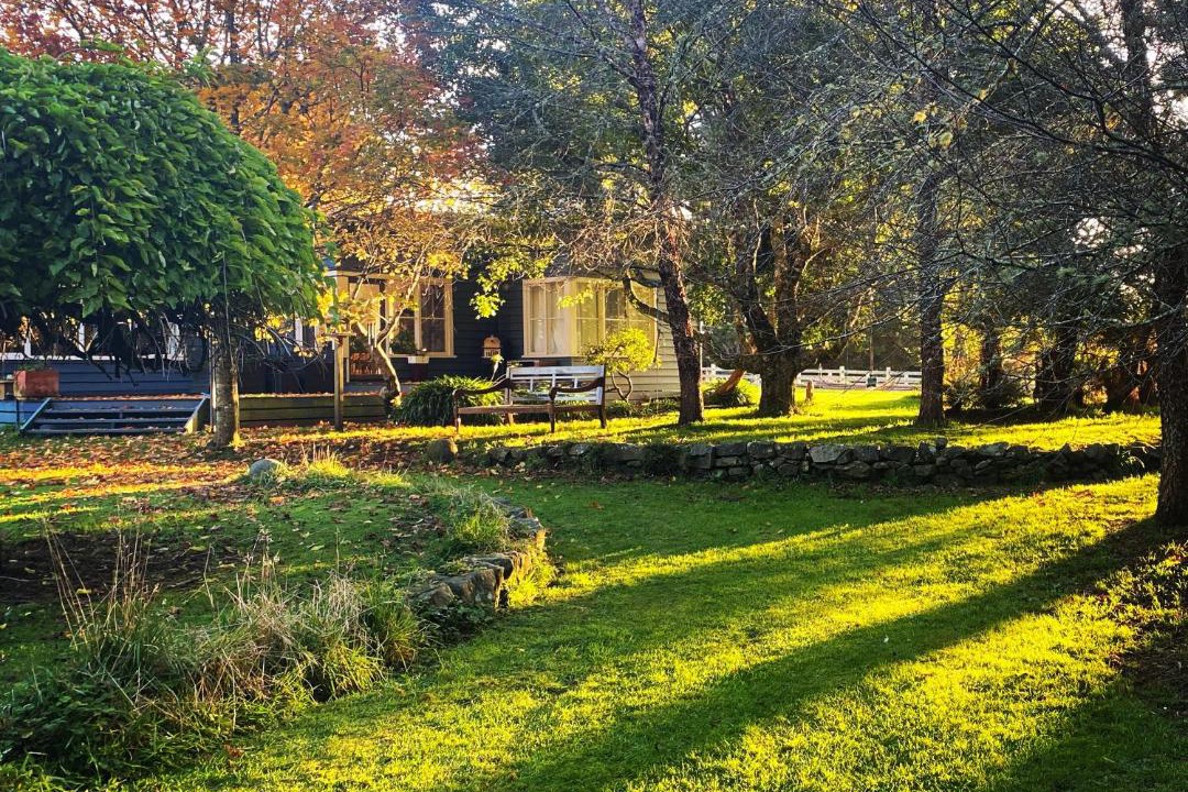 Photo of Others in Tanybryn