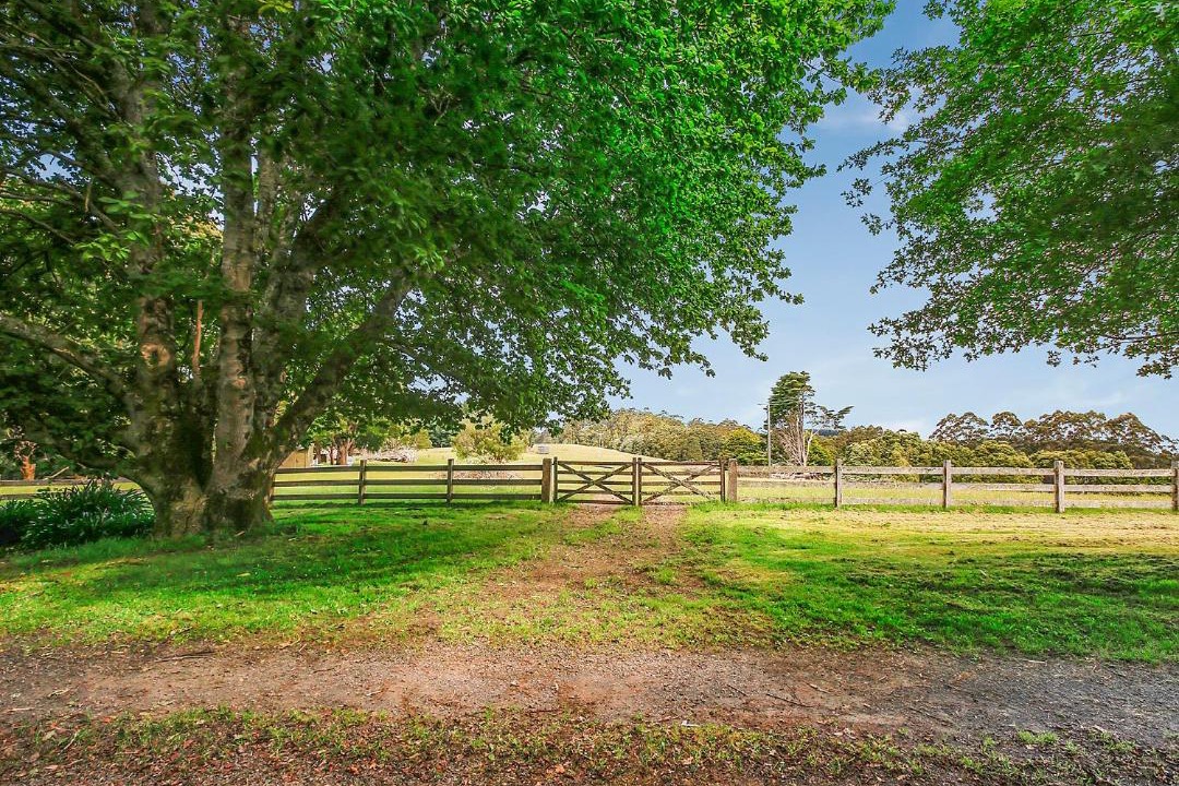 Photo of Others in Tanybryn