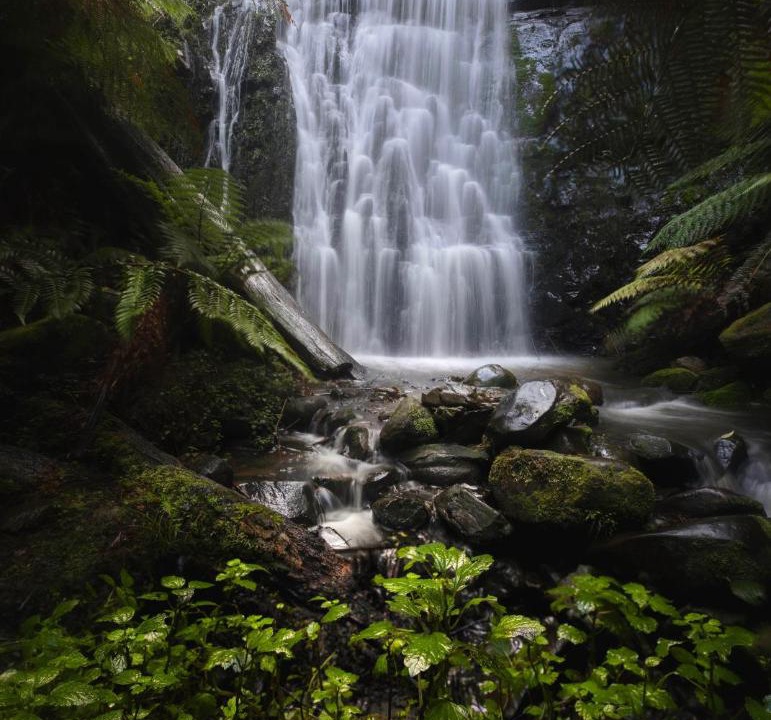 Photo of Others in Tanybryn