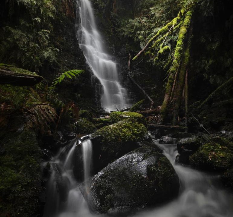 Photo of Others in Tanybryn