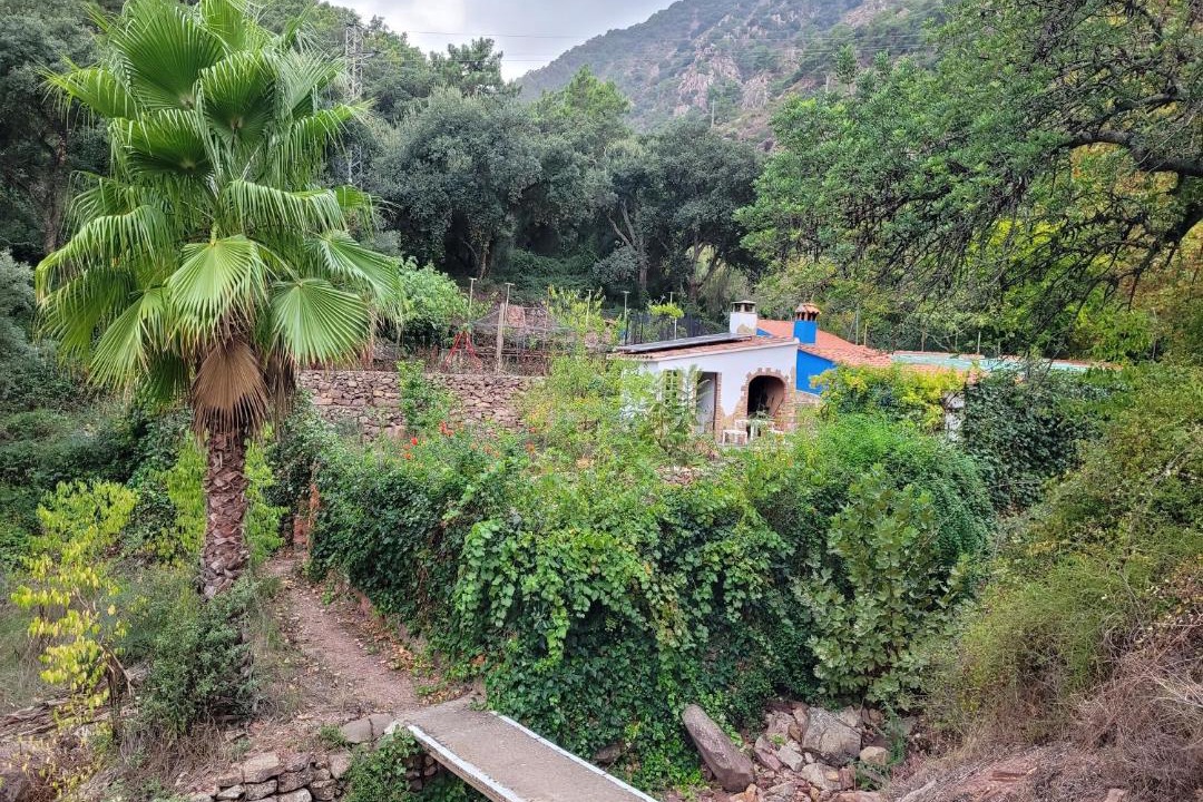 Photo of Others in Eslida