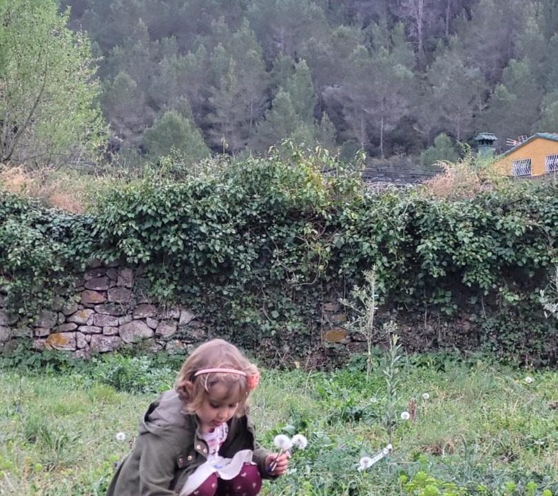 Photo of Others in Eslida
