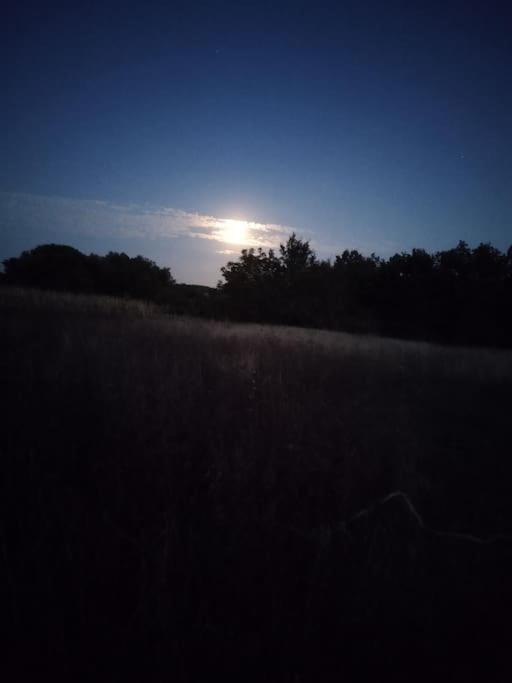 Photo of Outdoor in Le Grand-Pressigny