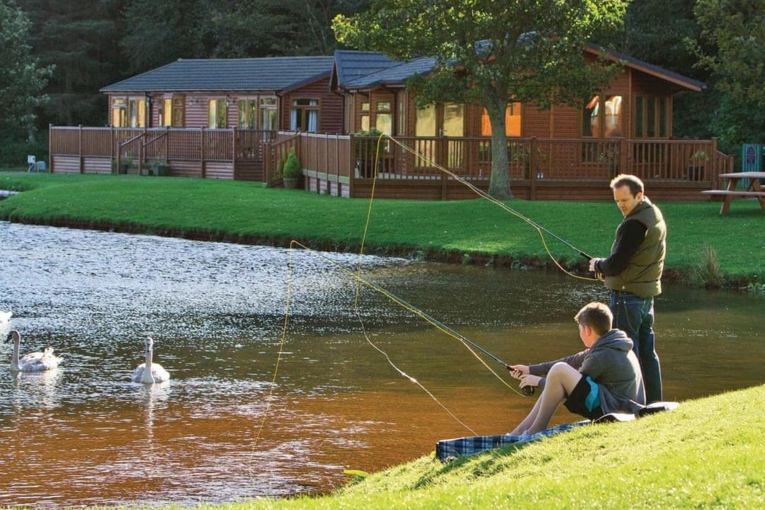 Photo of Others in Dunbar