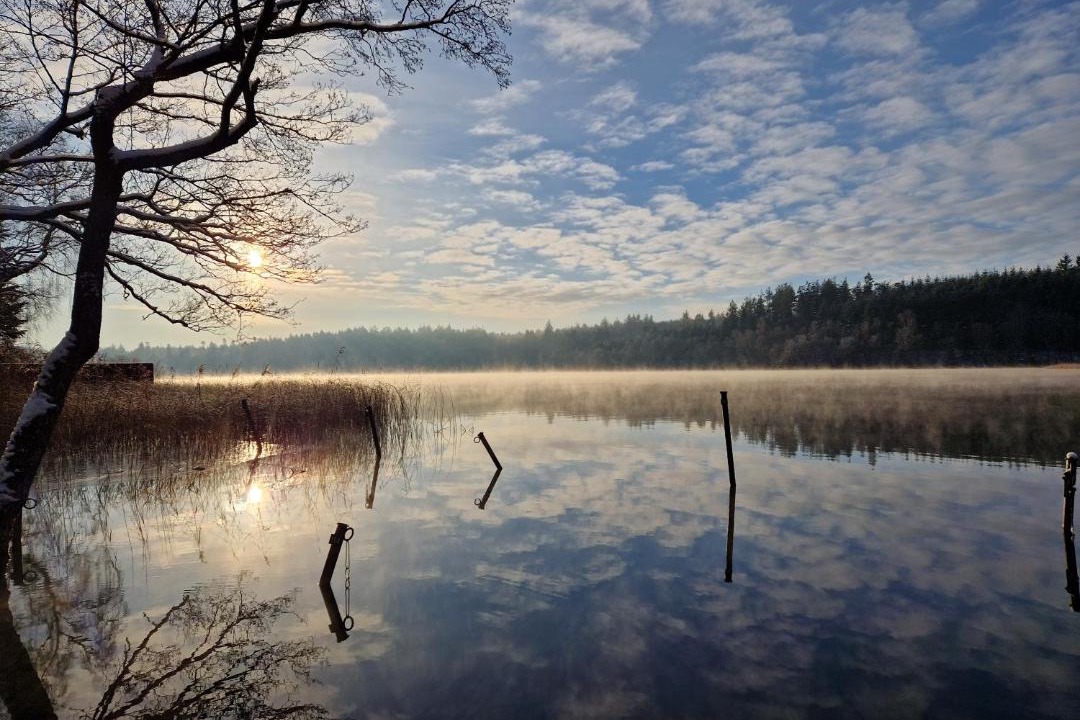 Photo of Others in Silkeborg
