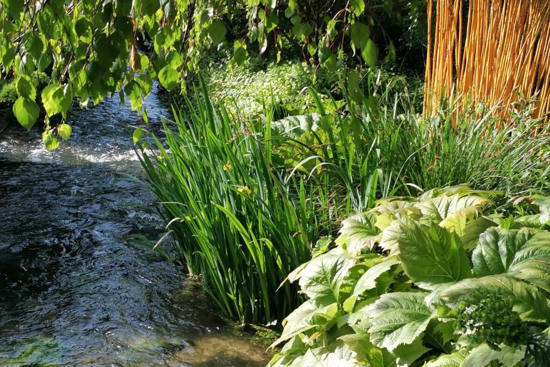 Photo of Others in Reviers