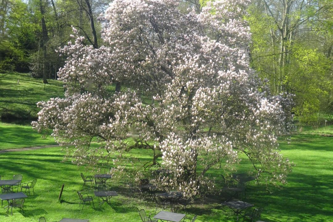 Photo of Outdoor in Basse-Rentgen