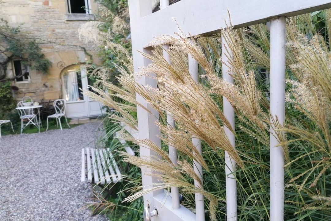 Photo of Others in Reviers