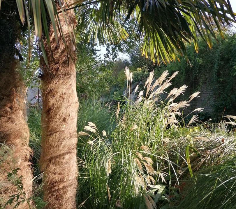 Photo of Others in Reviers