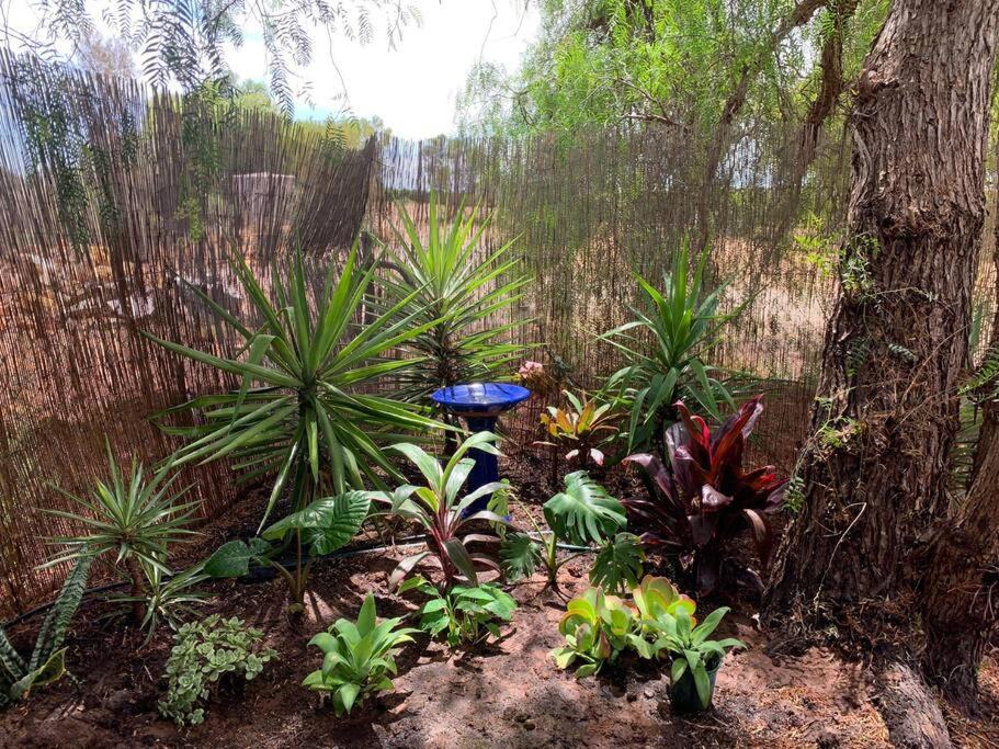 Photo of Others in Murtho