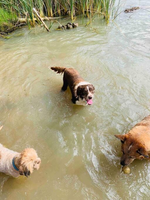 Photo of Others in Murtho