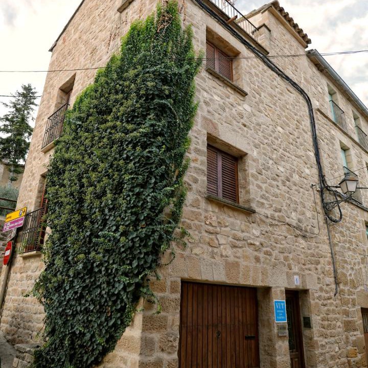 Photo of Others in Calaceite