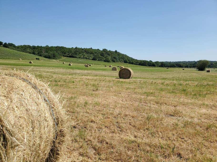 Photo of Others in Loire Layon Aubance