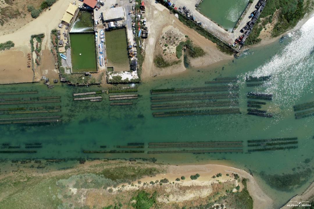 Photo of Others in Jard-sur-Mer