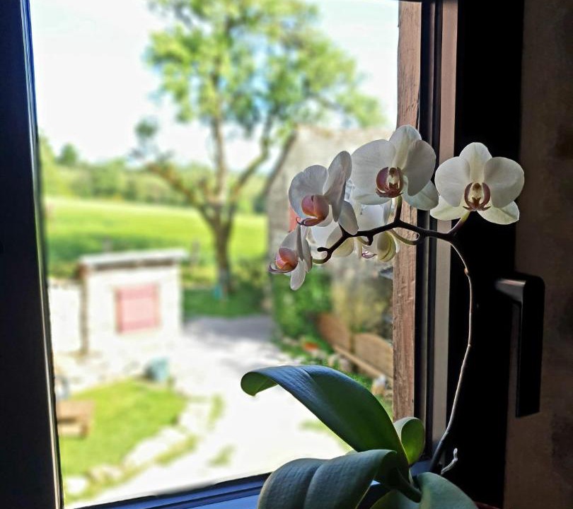 Photo of Others in Saint-Just-sur-Viaur