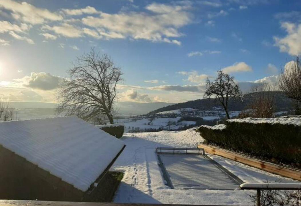 Photo of Others in Viuz-en-Sallaz