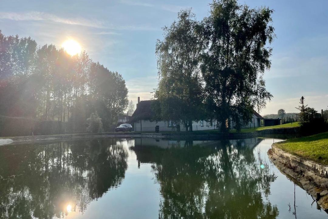 Photo of Others in Samer