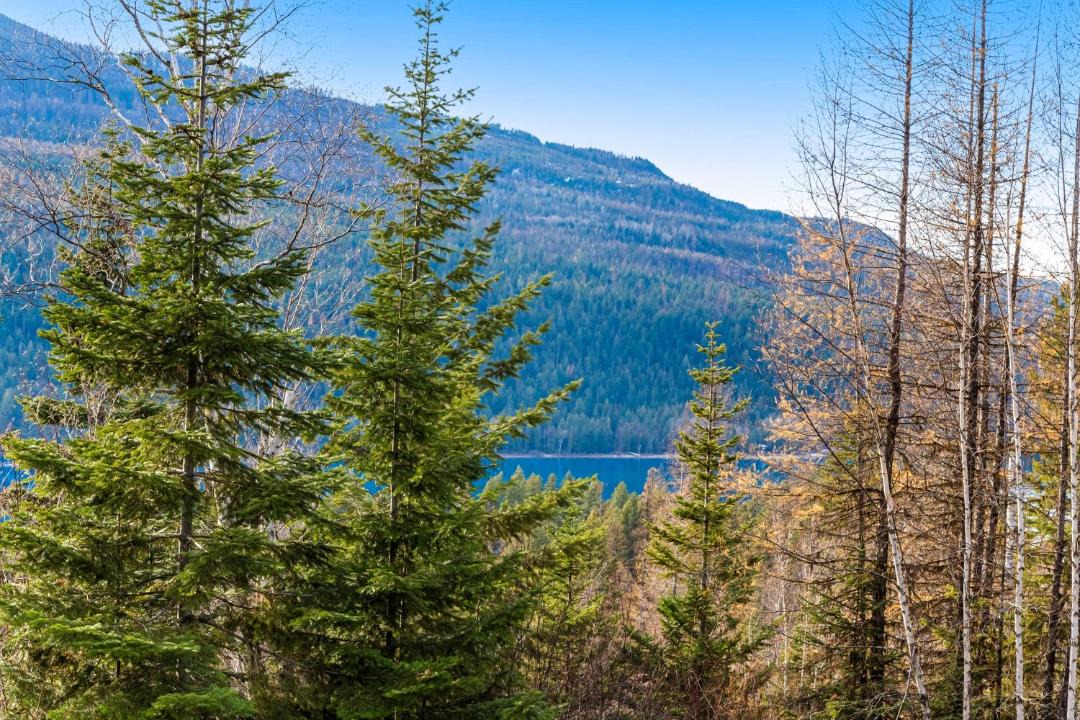 Photo of Others in Bigfork