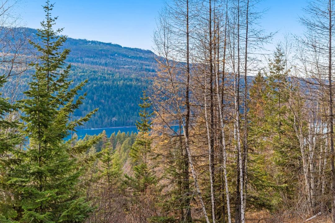 Photo of Others in Bigfork