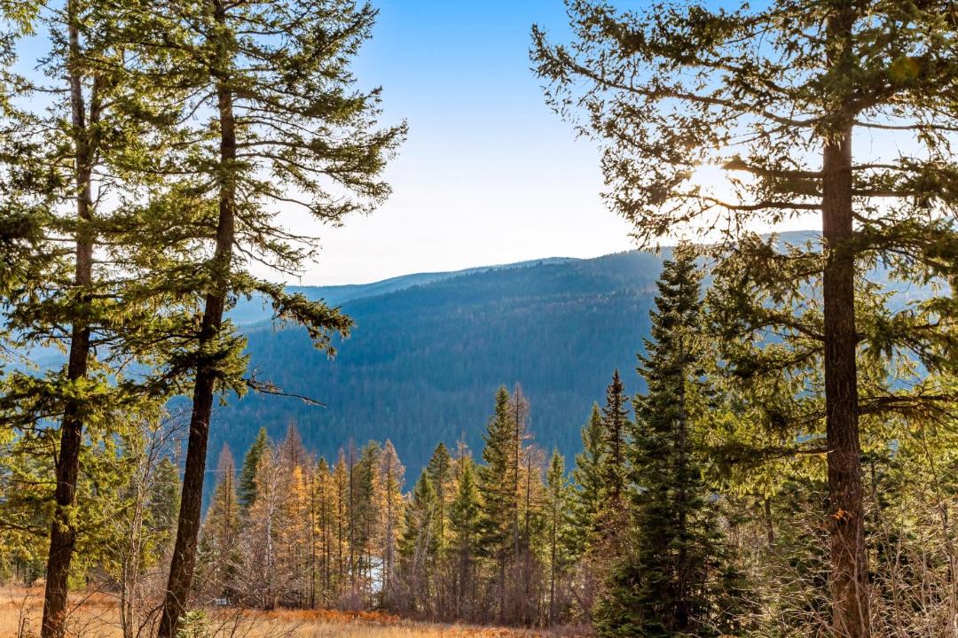 Photo of Others in Bigfork