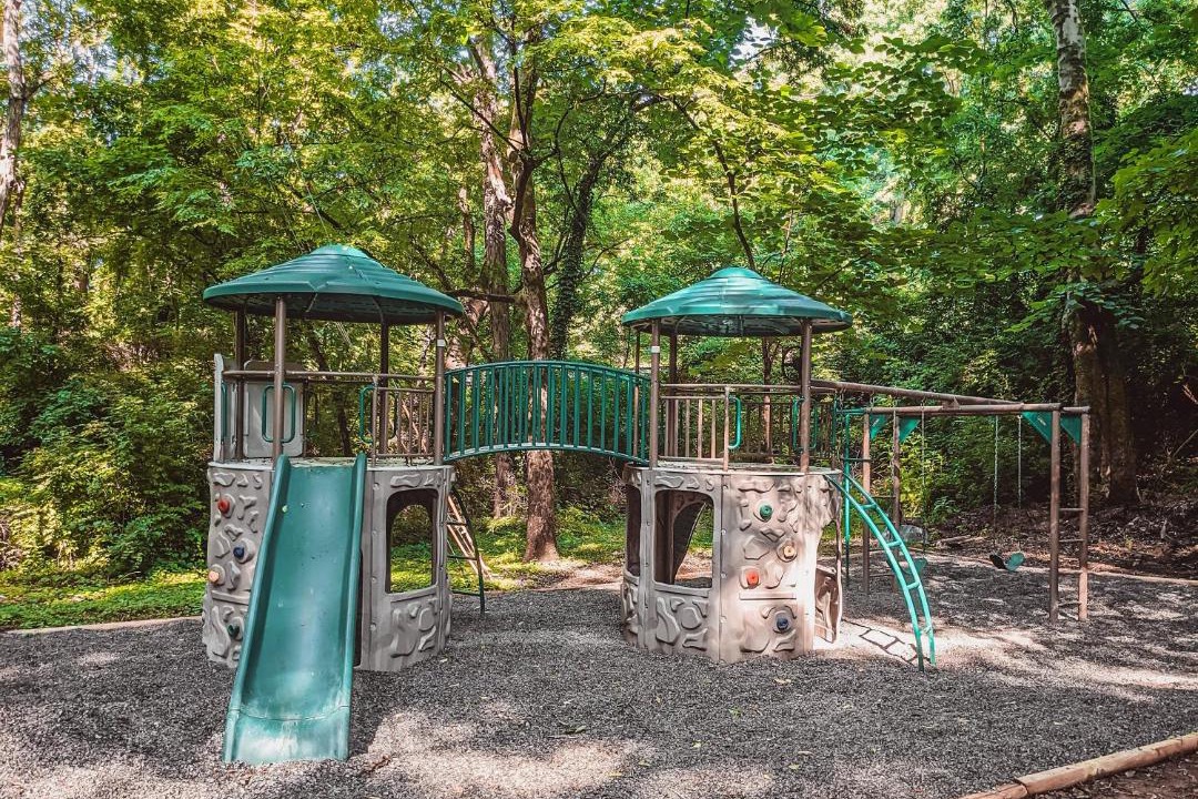 Photo of Others in Lookout Valley Neighborhood Association