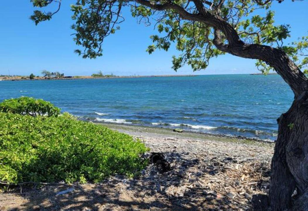 Photo of Others in Haiku