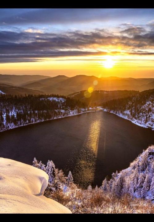 Photo of Others in Eloyes