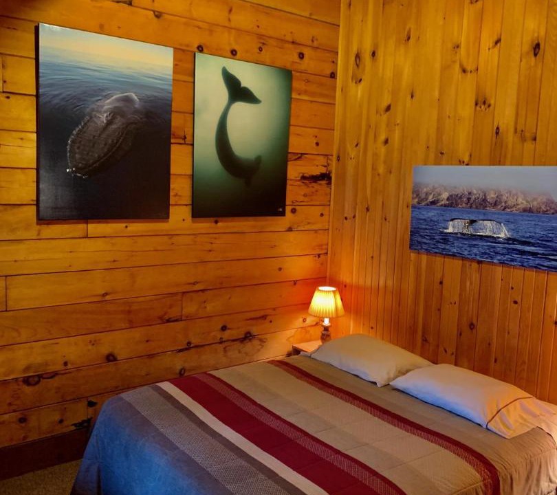 Photo of Bedroom in Janvrin Harbour