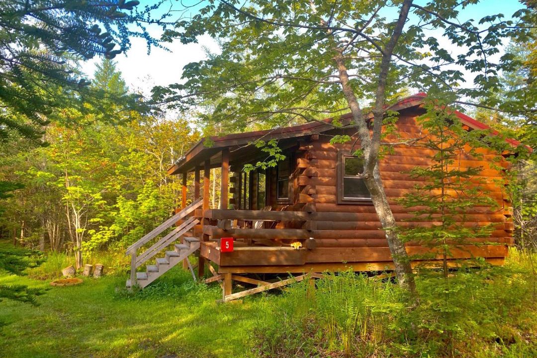 Photo of Others in Janvrin Harbour