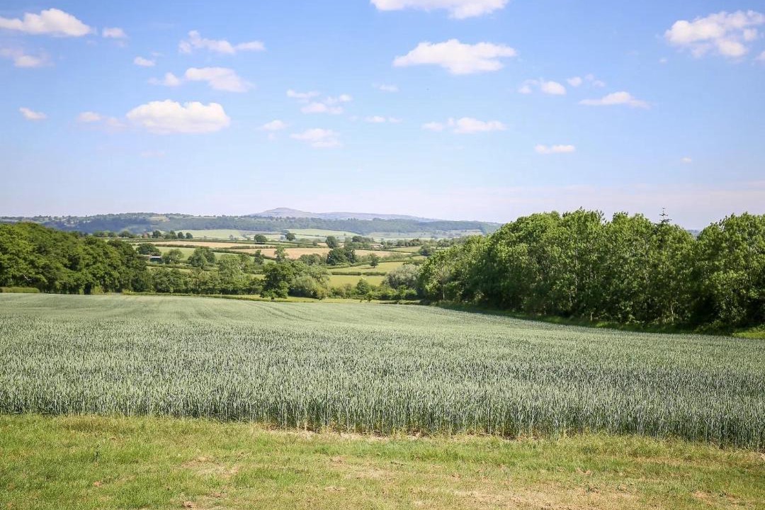 Photo of Others in Craven Arms