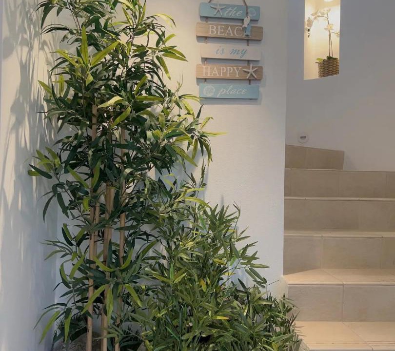 Photo of Others in Old Bar