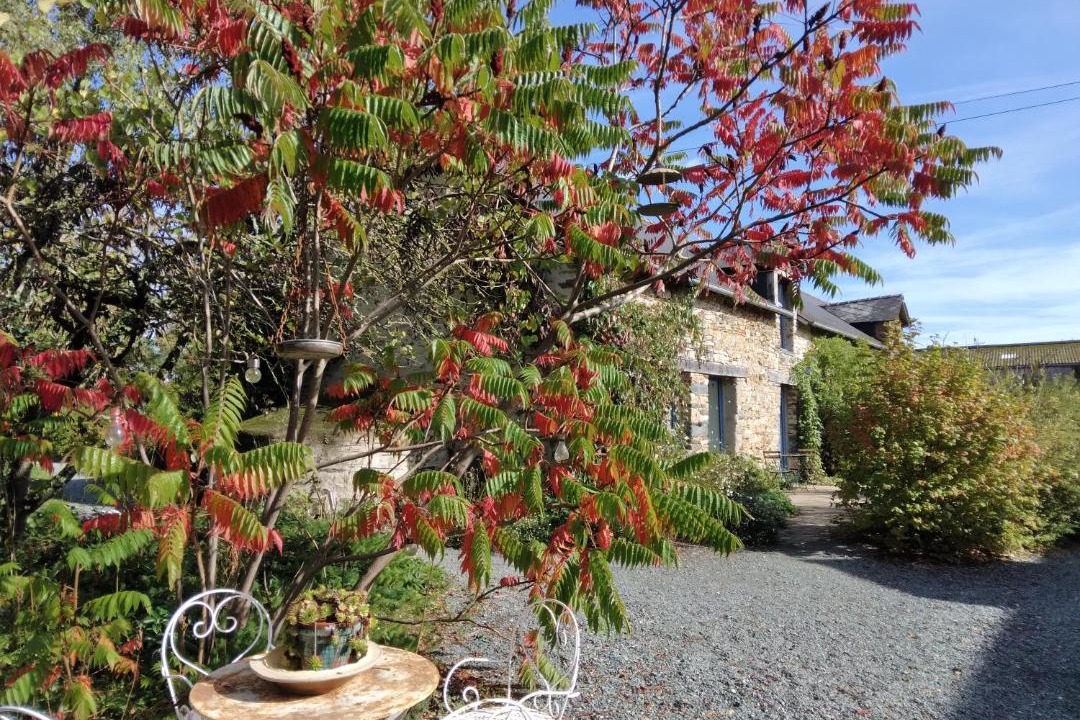 Photo of Others in Plesse