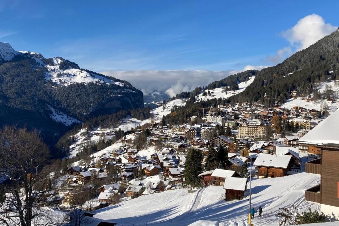 Photo of Others in Wengen