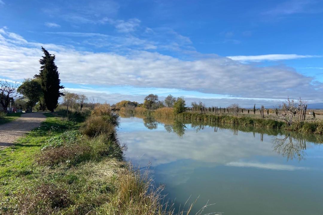 Photo of Outdoor in Homps