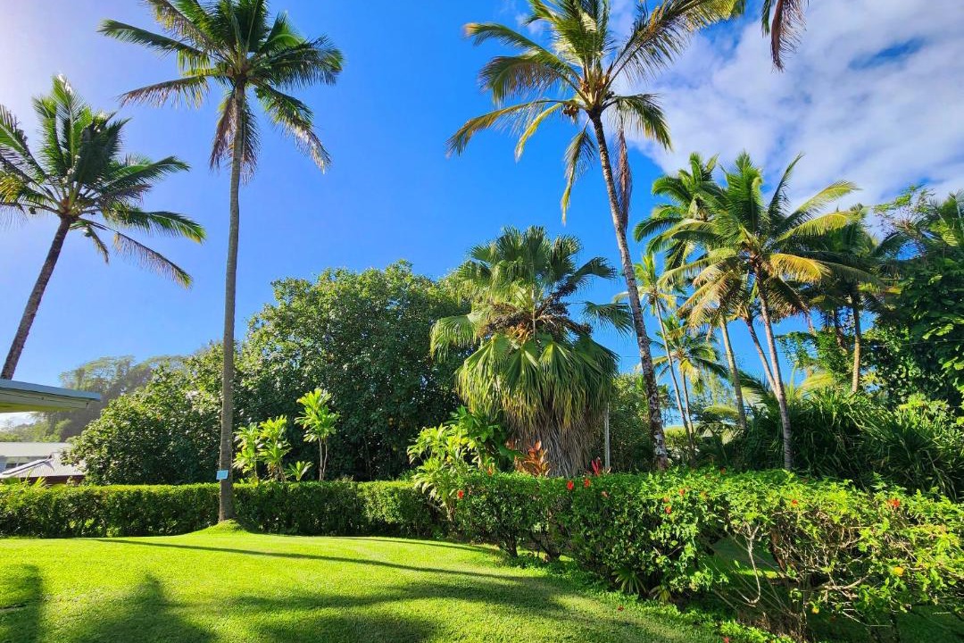 Photo of Others in Keaukaha