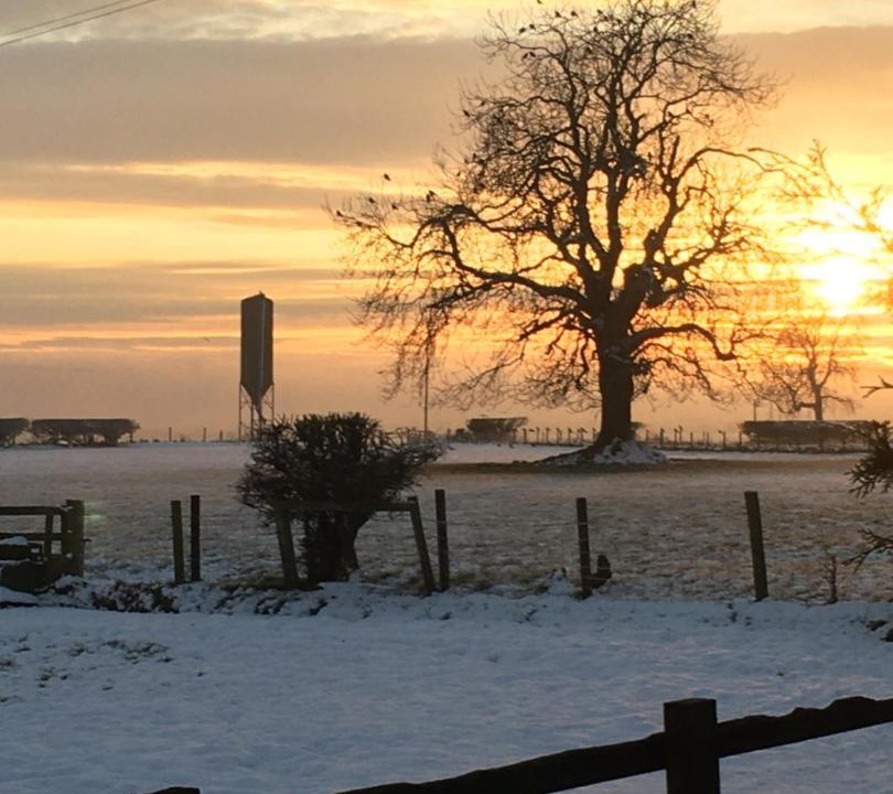 Photo of Others in Easterside