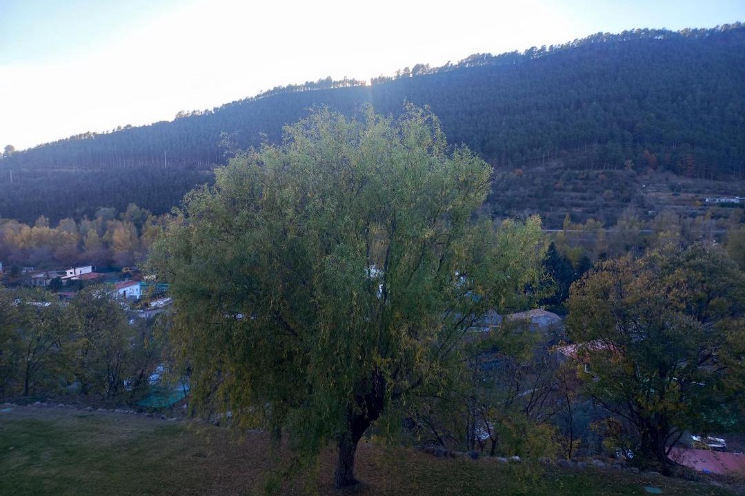Photo of Others in La Pobla de Segur
